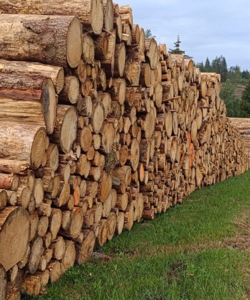 37b5a7f2-fd25-43e7-902a-f2990ab9e4f0