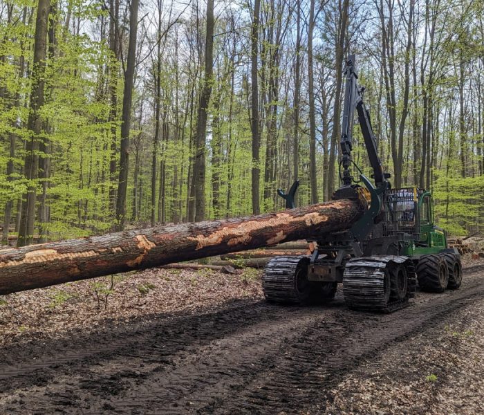 ca6e105a-72f5-48bb-a631-a9344cd5b6b3