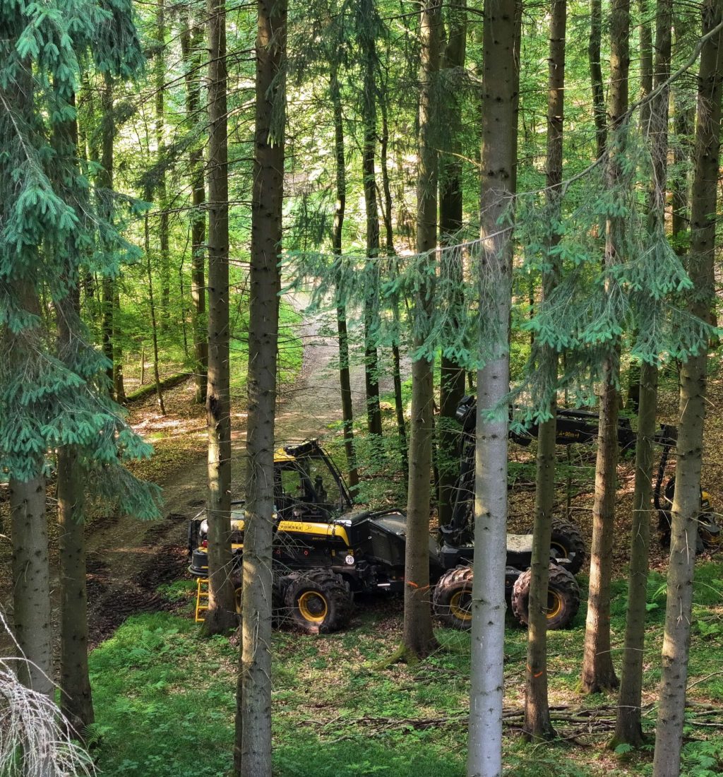 dji_fly_20250618_184054_0023_1750445437440_photo