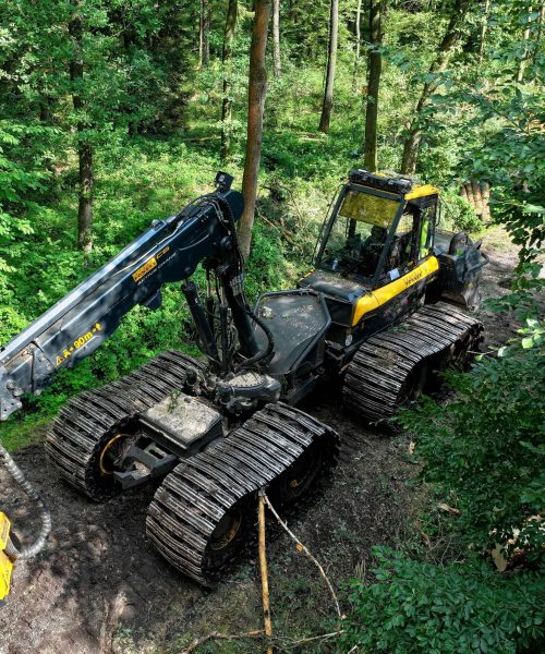 dji_fly_20250716_162510_0086_1753554886924_photo